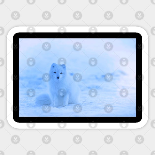 Arctic Fox Sticker by gmonpod11@gmail.com